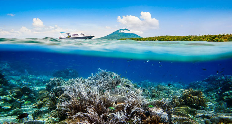 Menikmati Pesona Kota Manado: Surga Alam, Budaya, dan Kuliner Sulawesi Utara