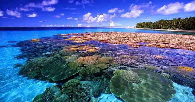 Manado: Lebih dari Sekadar Kota, Surga Budaya dan Tradisi